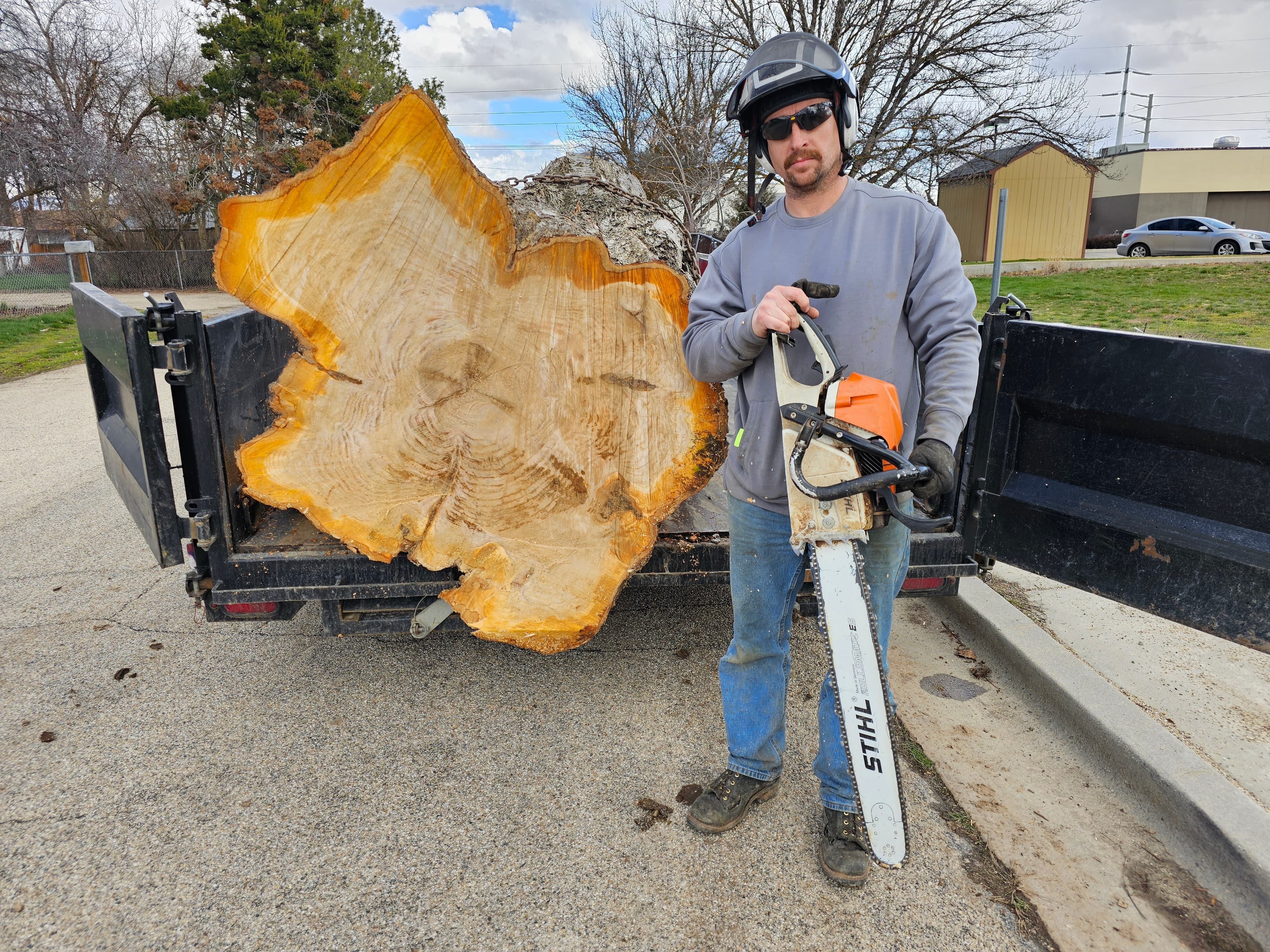 Tree service work by Tree Dweller Services in Boise, Idaho