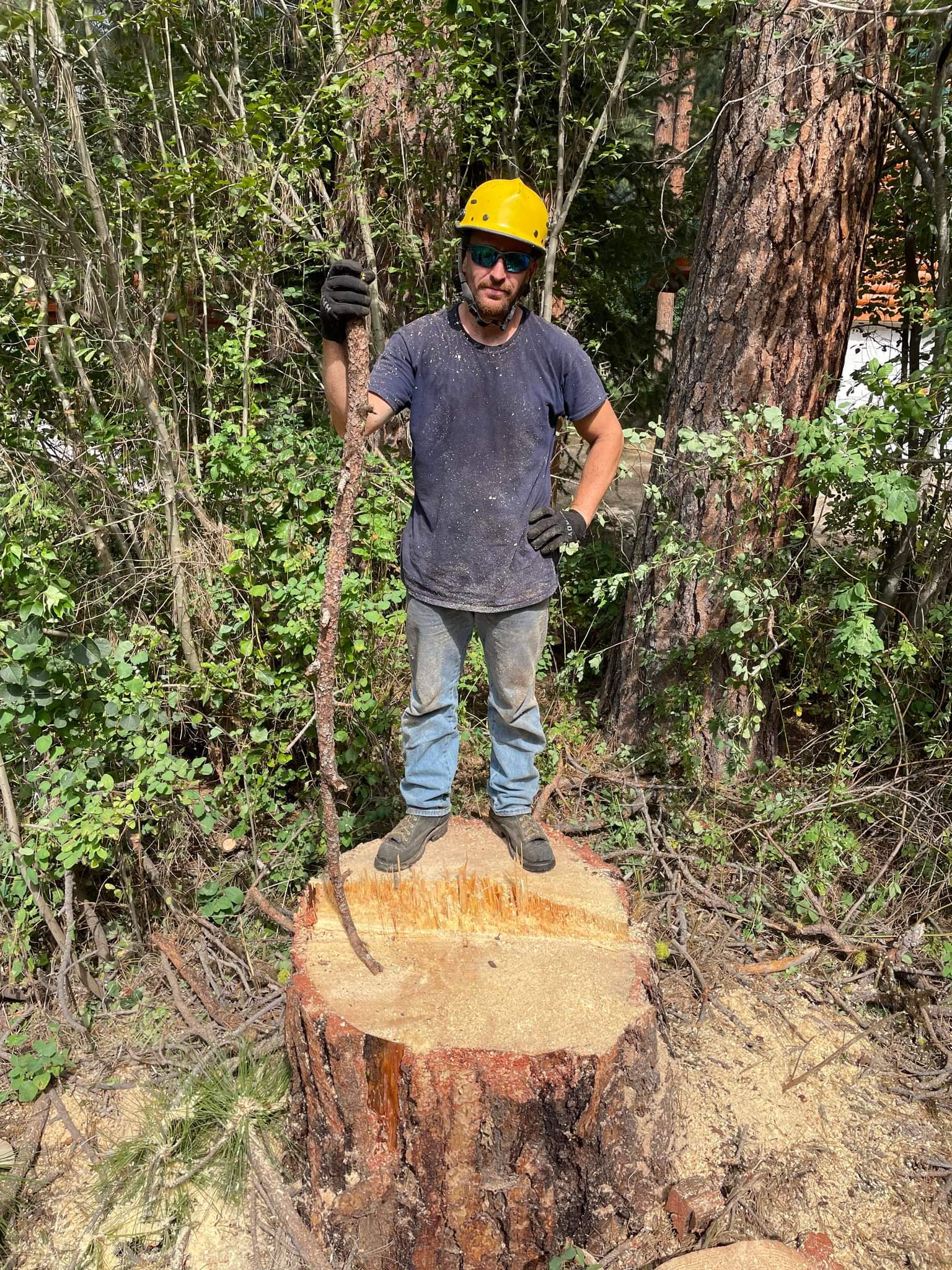 Lot clearing and land management in Boise — Tree Dweller Services